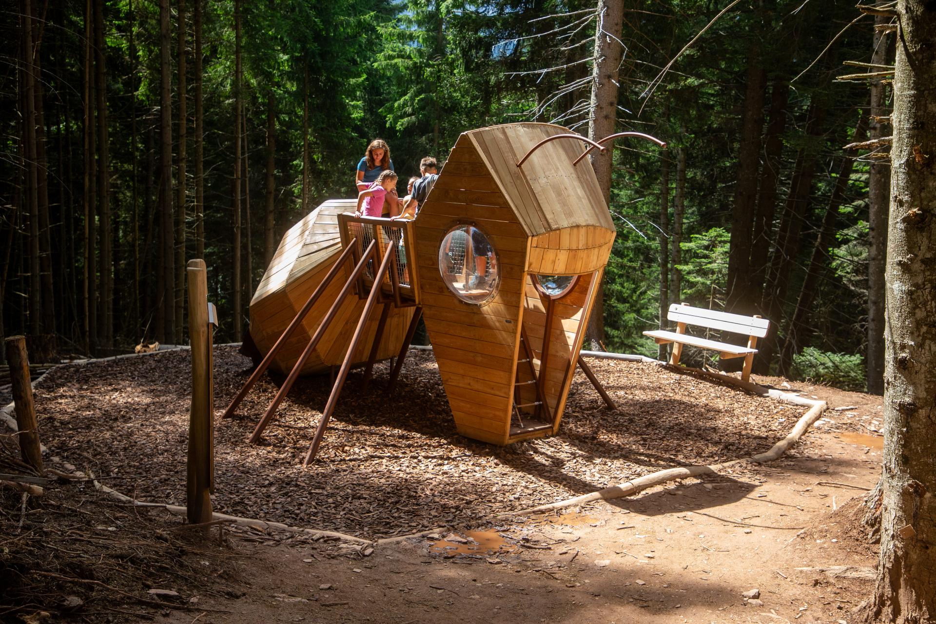 playgrounds fantasy ant xfy76