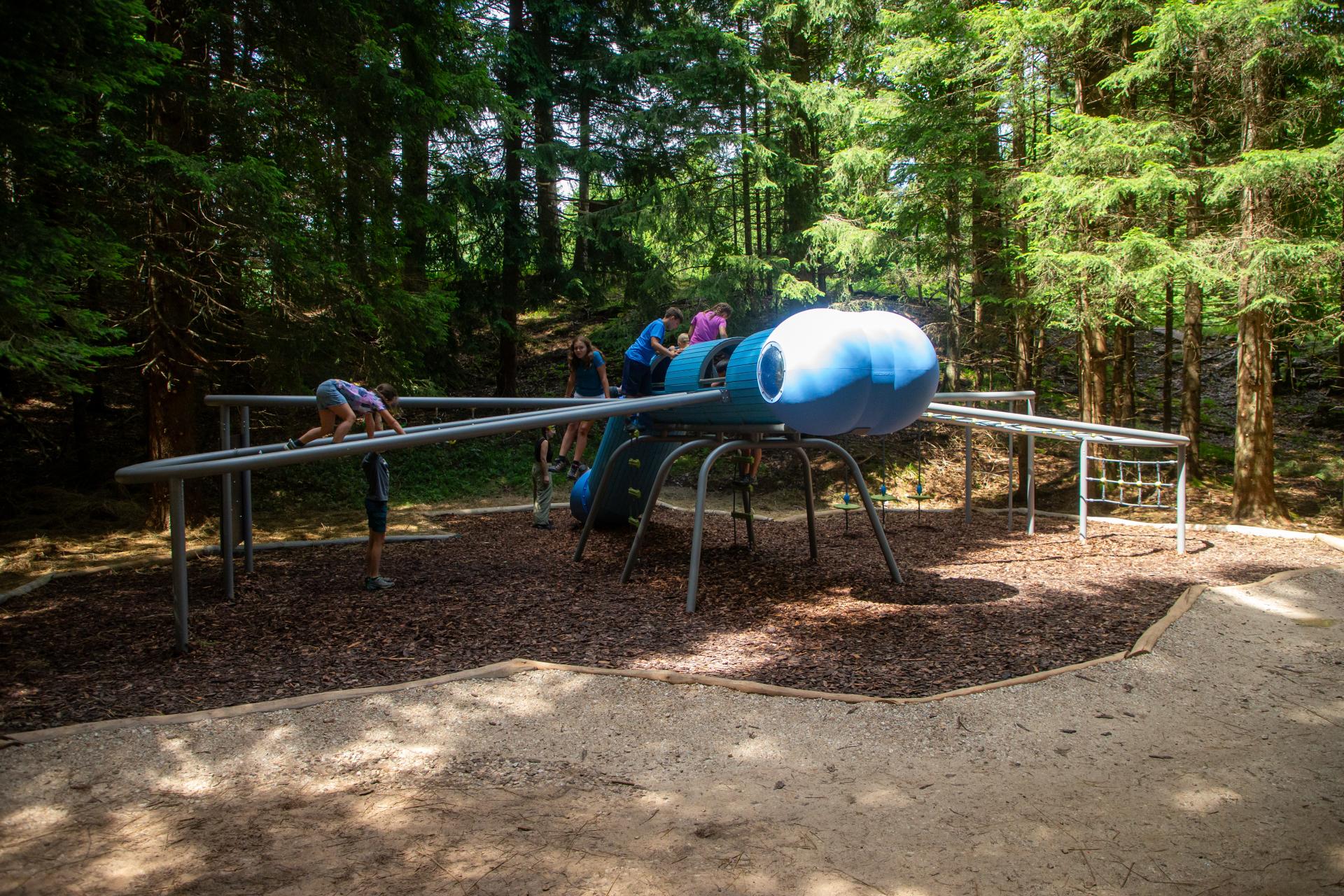playgrounds fantasy dragonfly xfy50