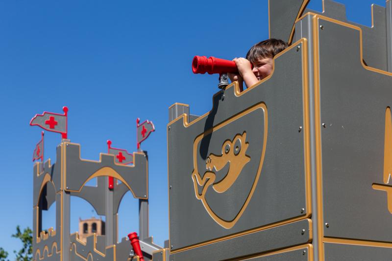 playgrounds themed structures aluminum dragon castle xt600alu