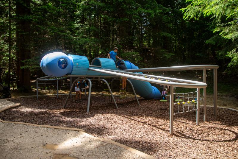 playgrounds fantasy dragonfly xfy50