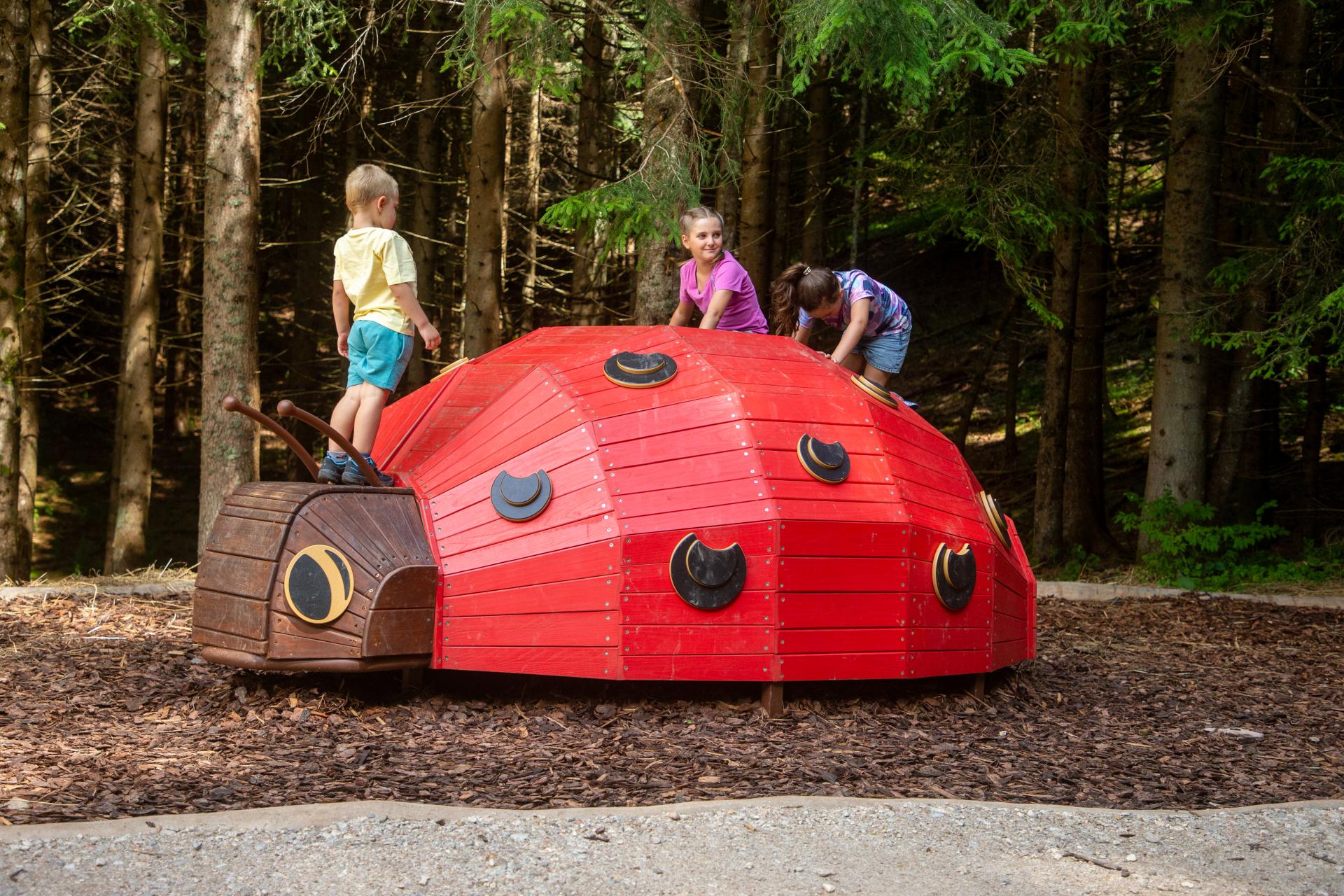 playgrounds fantasy ladybug xfy72
