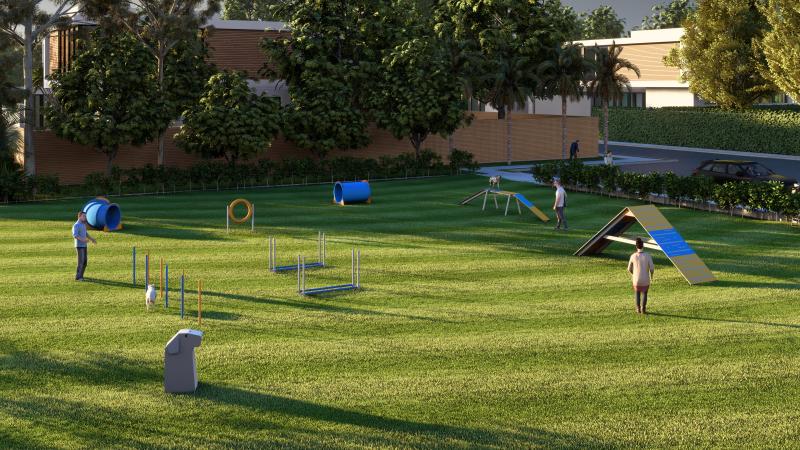 agility dog category page