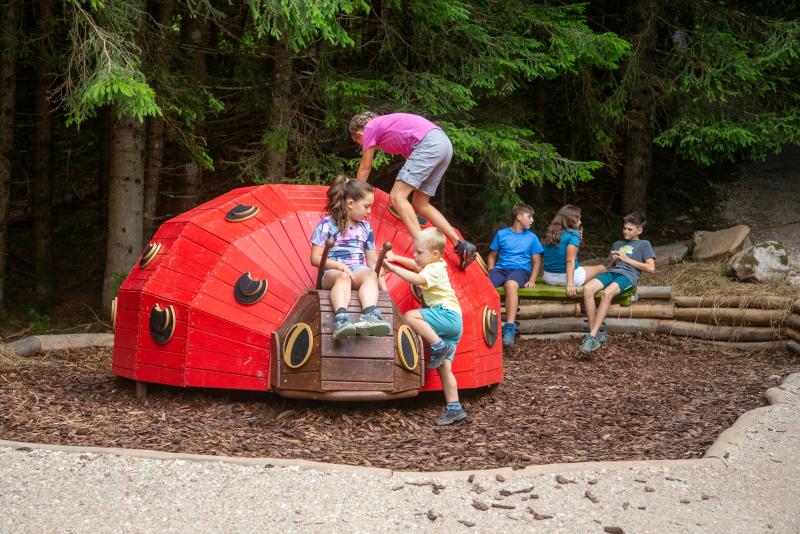 playgrounds fantasy ladybug xfy72